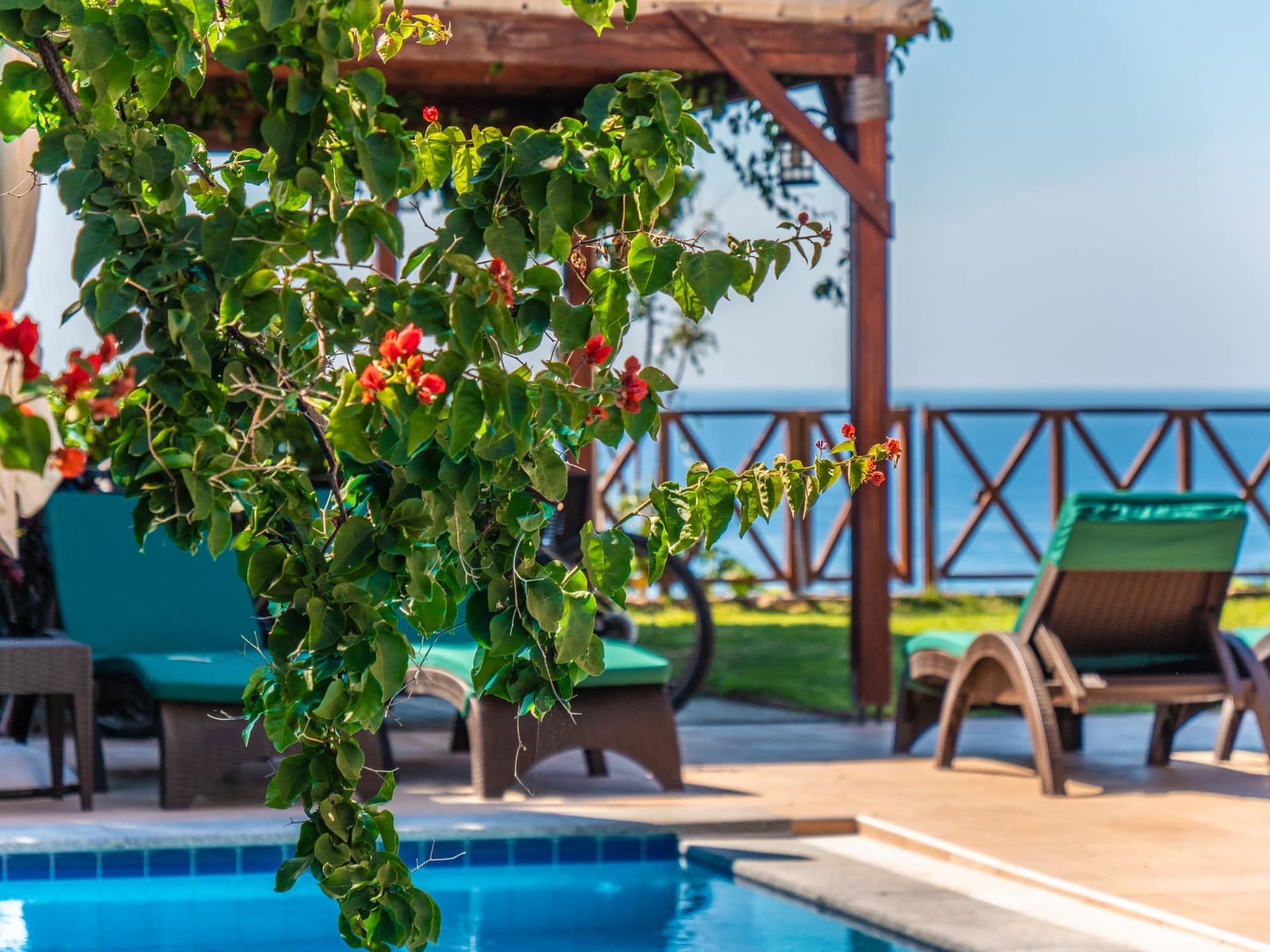 pool view